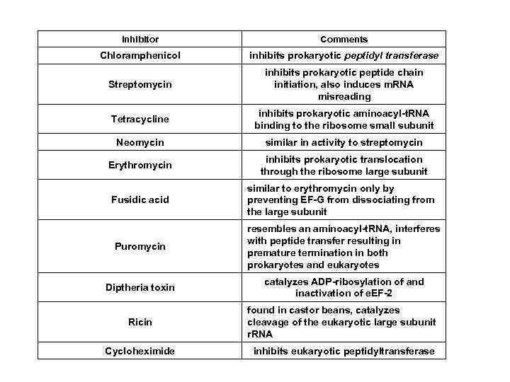 Inhibitor Comments Chloramphenicol inhibits prokaryotic peptidyl transferase Streptomycin inhibits prokaryotic peptide chain initiation, also