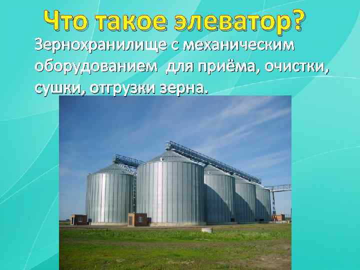 Что такое элеватор? Зернохранилище с механическим оборудованием для приёма, очистки, сушки, отгрузки зерна. 
