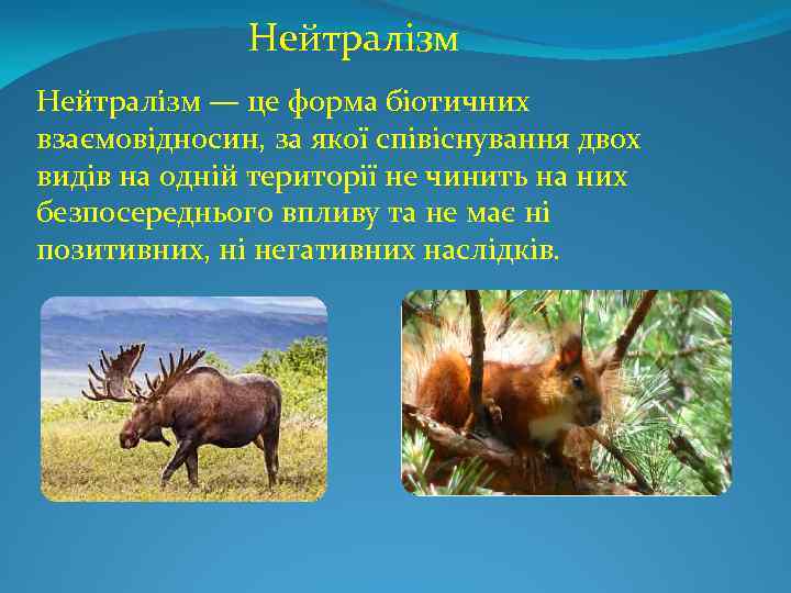 Нейтралізм Нейтралі зм — це форма біотичних взаємовідносин, за якої співіснування двох видів на