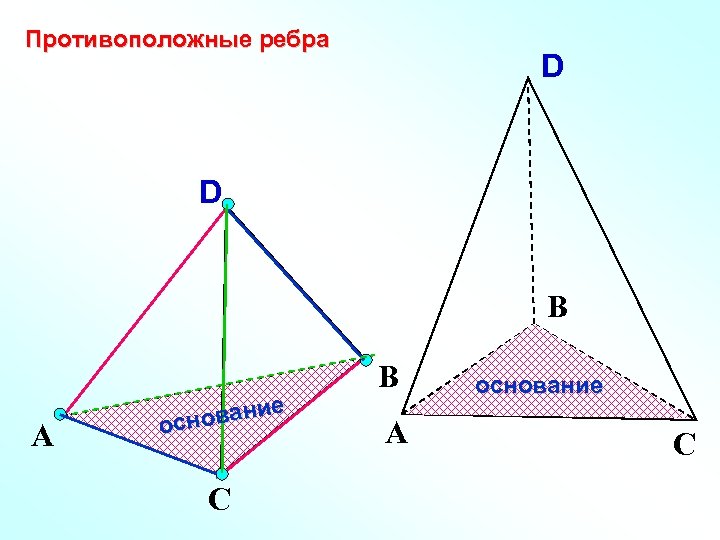 Противоположные ребра D D В А е овани осн С В А основание С