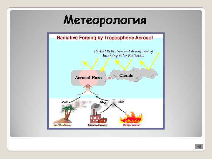 Метеорология 