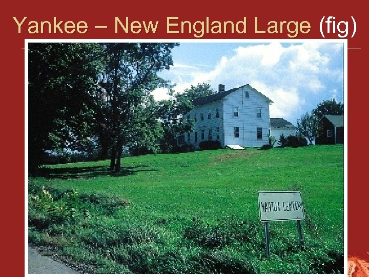 Yankee – New England Large (fig) Yankee – New England Large 