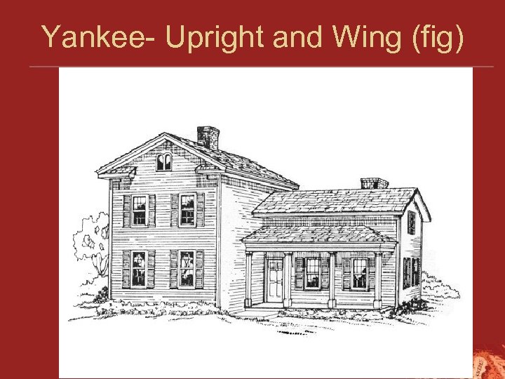 Yankee- Upright and Wing (fig) 