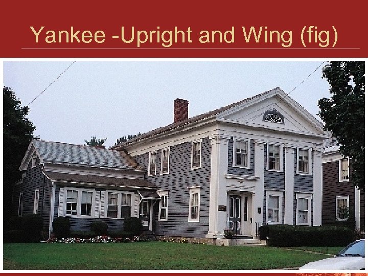Yankee -Upright and Wing (fig) 