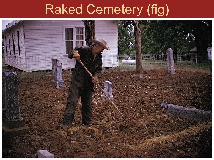 Raked Cemetery (fig) 