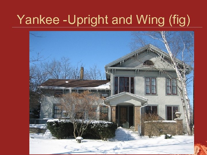 Yankee -Upright and Wing (fig) 