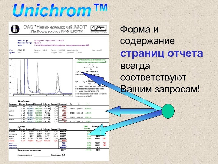 Форма и содержание страниц отчета всегда соответствуют Вашим запросам! 