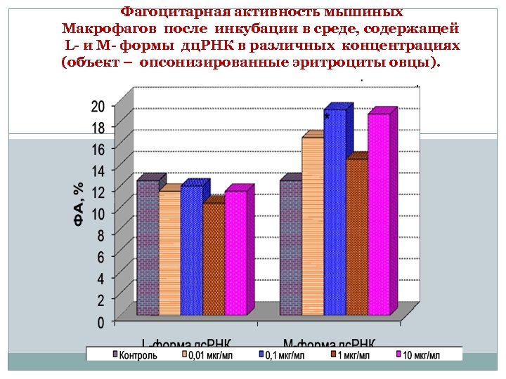 Фагоцитарная активность мышиных Макрофагов после инкубации в среде, содержащей L- и М- формы дц.