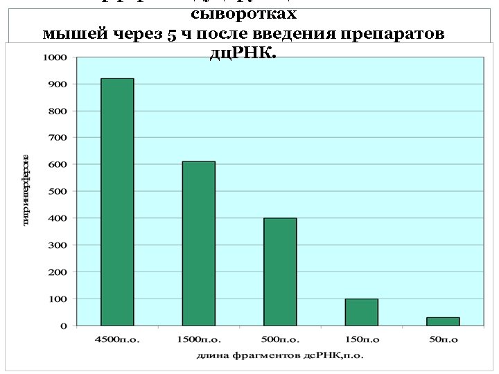 сыворотках мышей через 5 ч после введения препаратов дц. РНК. 