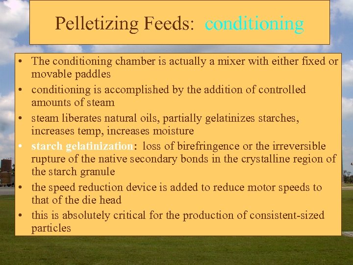 Pelletizing Feeds: conditioning • The conditioning chamber is actually a mixer with either fixed