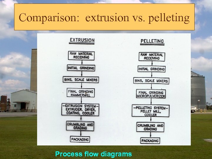 Comparison: extrusion vs. pelleting Process flow diagrams 