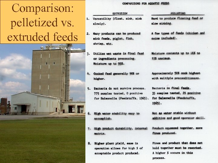 Comparison: pelletized vs. extruded feeds 