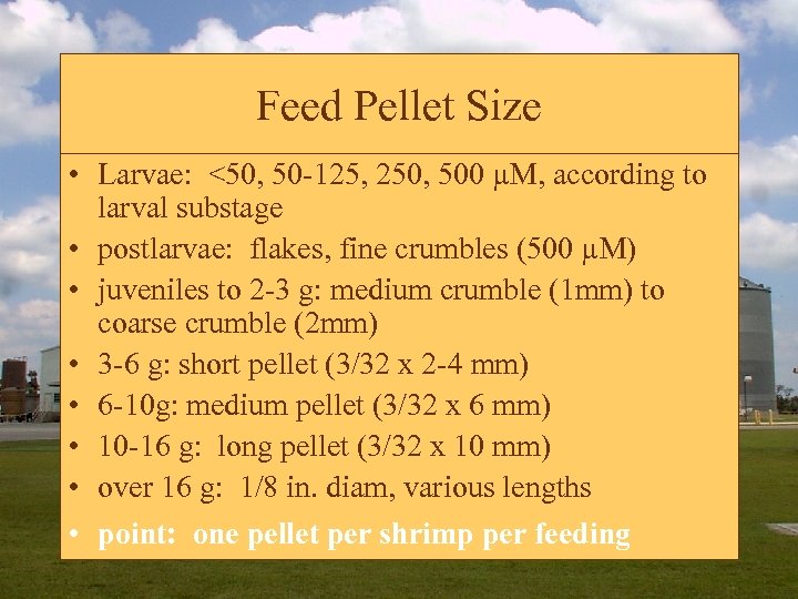 Feed Pellet Size • Larvae: <50, 50 -125, 250, 500 µM, according to larval