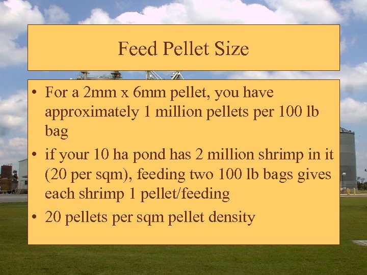 Feed Pellet Size • For a 2 mm x 6 mm pellet, you have