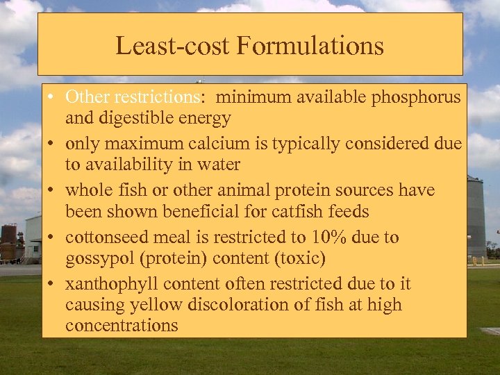 Least-cost Formulations • Other restrictions: minimum available phosphorus and digestible energy • only maximum