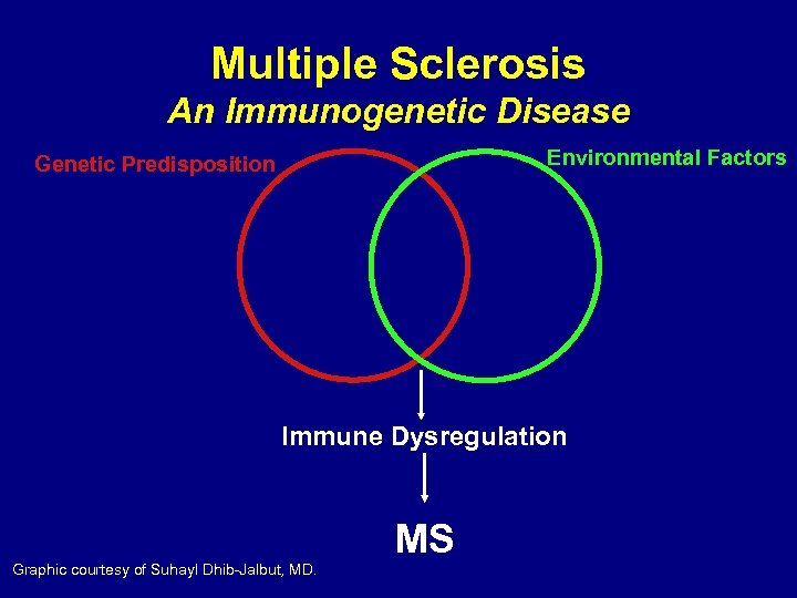 Multiple Sclerosis An Immunogenetic Disease Environmental Factors Genetic Predisposition Immune Dysregulation Graphic courtesy of