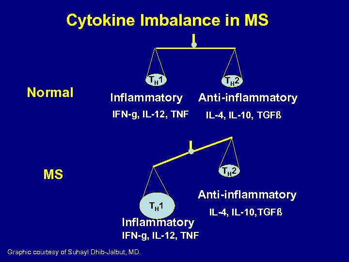 Cytokine Imbalance in MS Normal TH 1 Inflammatory TH 2 Anti-inflammatory IFN-g, IL-12, TNF
