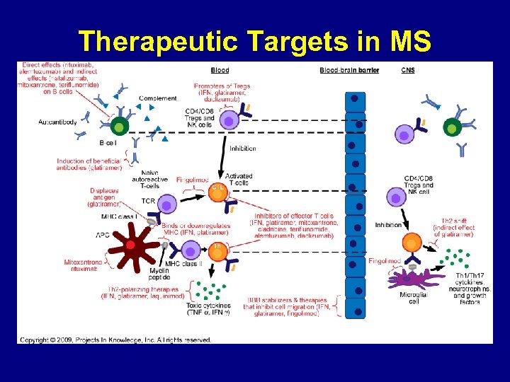 Therapeutic Targets in MS 
