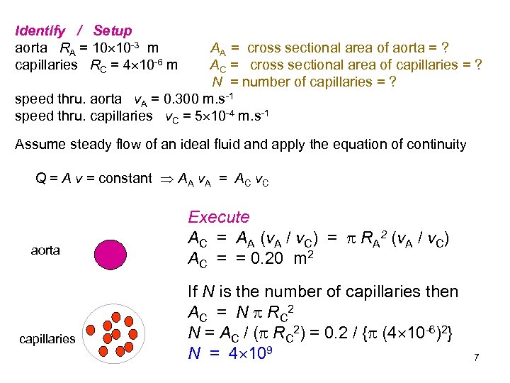 Identify / Setup aorta RA = 10 10 -3 m capillaries RC = 4