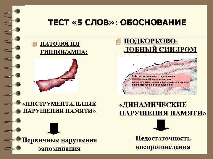 ТЕСТ « 5 СЛОВ» : ОБОСНОВАНИЕ 4 ПАТОЛОГИЯ ГИППОКАМПА: 4 ПОДКОРКОВО- ЛОБНЫЙ СИНДРОМ «ИНСТРУМЕНТАЛЬНЫЕ