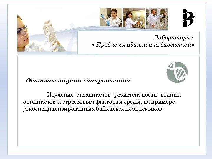 Лаборатория « Проблемы адаптации биосистем» Основное научное направление: Изучение механизмов резистентности водных организмов к