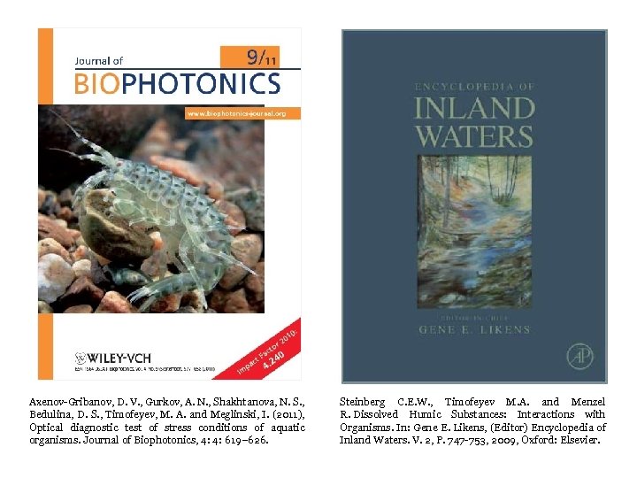 Axenov-Gribanov, D. V. , Gurkov, A. N. , Shakhtanova, N. S. , Bedulina, D.