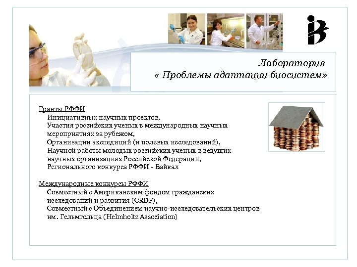 Лаборатория « Проблемы адаптации биосистем» Гранты РФФИ Инициативных научных проектов, Участия российских ученых в