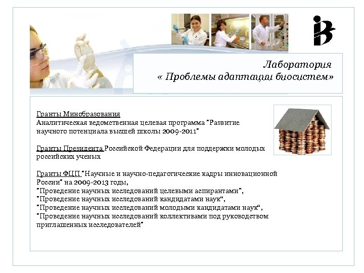 Лаборатория « Проблемы адаптации биосистем» Гранты Минобразования Аналитическая ведомственная целевая программа "Развитие научного потенциала