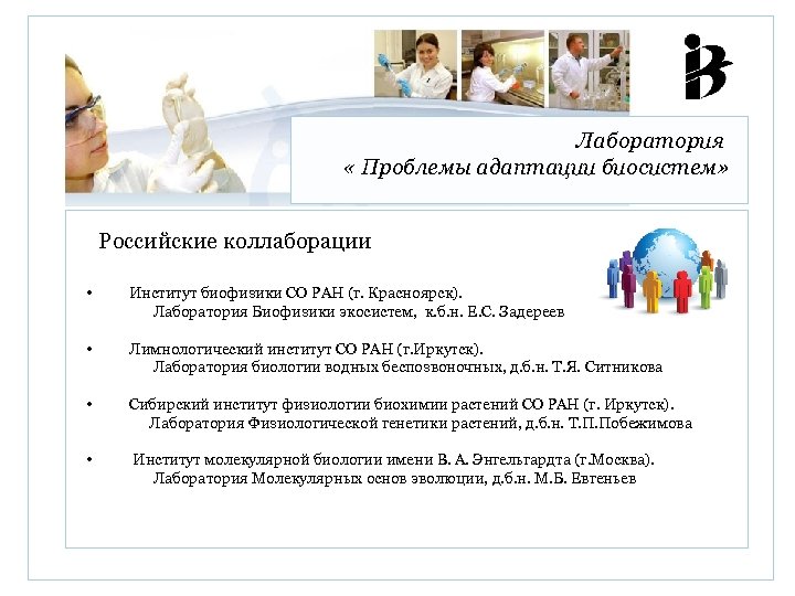 Лаборатория « Проблемы адаптации биосистем» Российские коллаборации • Институт биофизики СО РАН (г. Красноярск).