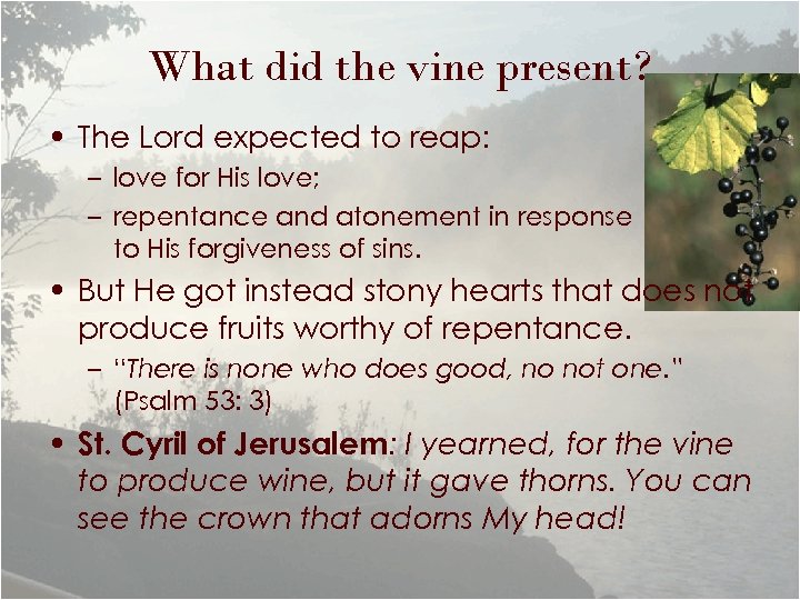What did the vine present? • The Lord expected to reap: – love for