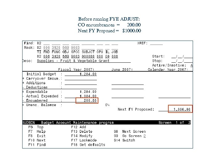 Before running FYE ADJUST: CO encumbrances = 200. 00 Next FY Proposed = $1000.