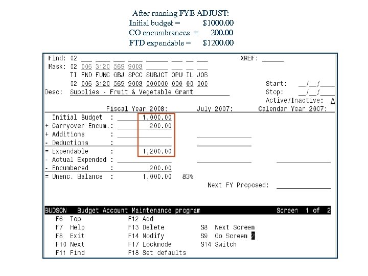 After running FYE ADJUST: Initial budget = $1000. 00 CO encumbrances = 200. 00