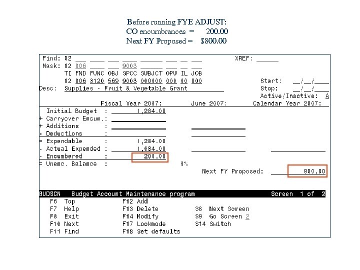 Before running FYE ADJUST: CO encumbrances = 200. 00 Next FY Proposed = $800.