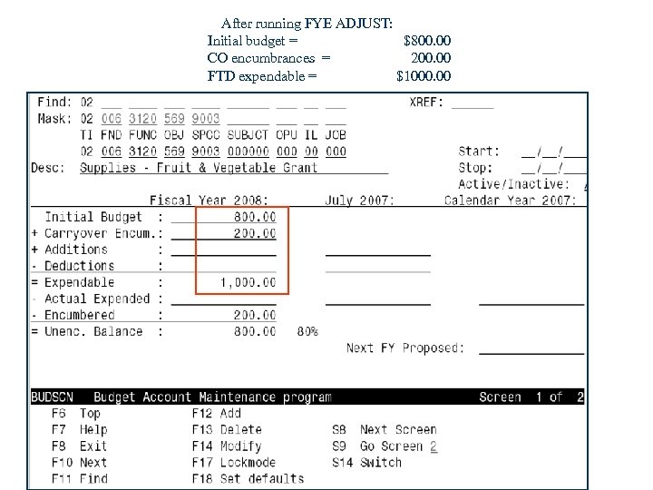 After running FYE ADJUST: Initial budget = $800. 00 CO encumbrances = 200. 00