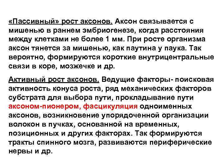  «Пассивный» рост аксонов. Аксон связывается с мишенью в раннем эмбриогенезе, когда расстояния между