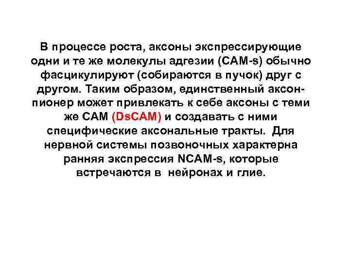 В процессе роста, аксоны экспрессирующие одни и те же молекулы адгезии (CAM-s) обычно фасцикулируют