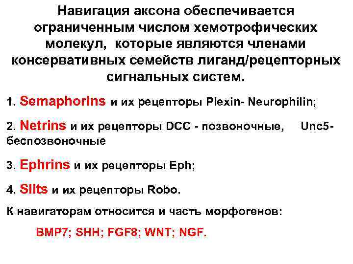 Навигация аксона обеспечивается ограниченным числом хемотрофических молекул, которые являются членами консервативных семейств лиганд/рецепторных сигнальных