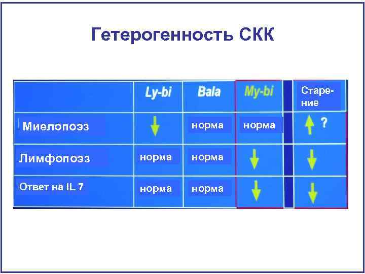 Гетерогенность СКК Старение норма Миелопоэз Лимфопоэз норма Ответ на IL 7 норма 