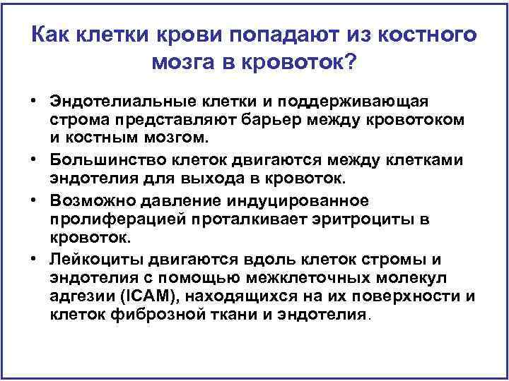 Как клетки крови попадают из костного мозга в кровоток? • Эндотелиальные клетки и поддерживающая