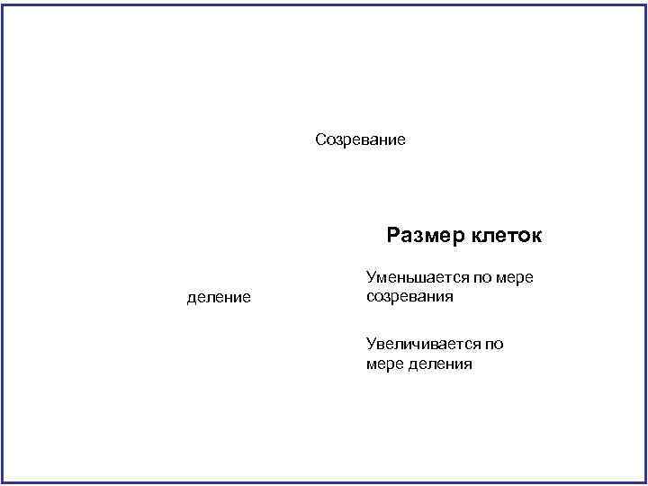 Созревание Размер клеток деление Уменьшается по мере созревания Увеличивается по мере деления 