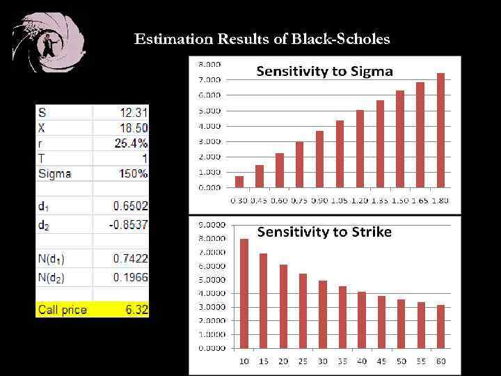 Estimation Results of Black-Scholes 