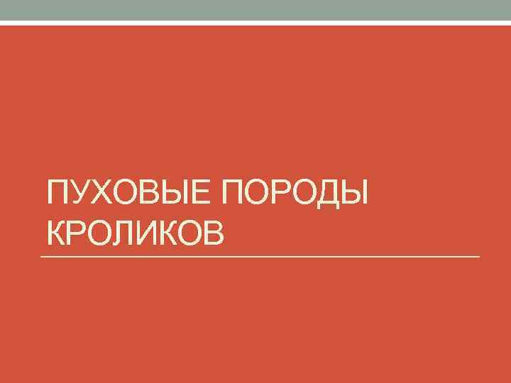 ПУХОВЫЕ ПОРОДЫ КРОЛИКОВ 