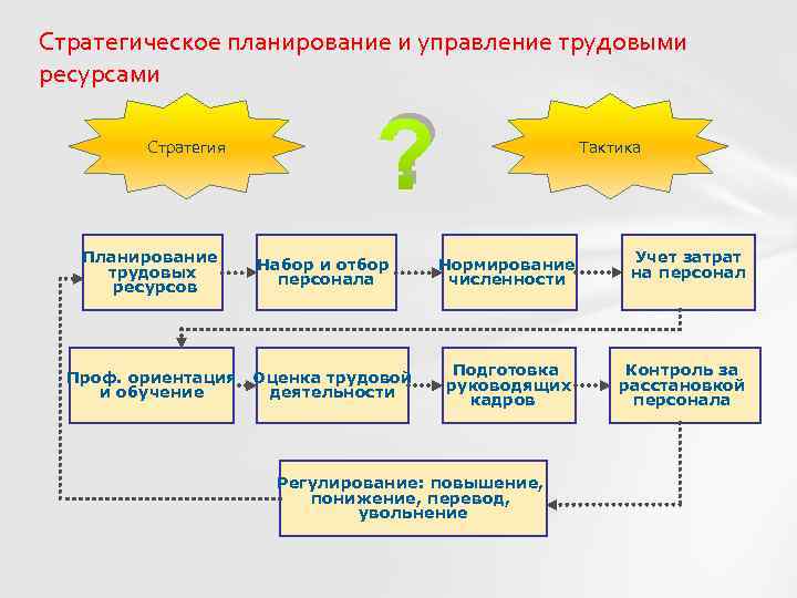 Процесс планирования трудовых ресурсов