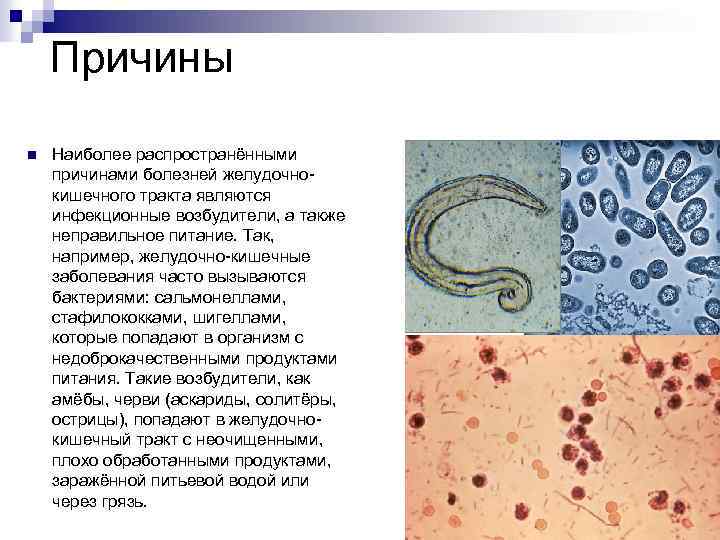 Причины n Наиболее распространёнными причинами болезней желудочнокишечного тракта являются инфекционные возбудители, а также неправильное