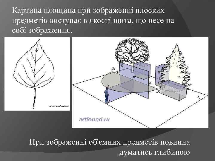 Картина площина при зображенні плоских предметів виступає в якості щита, що несе на собі