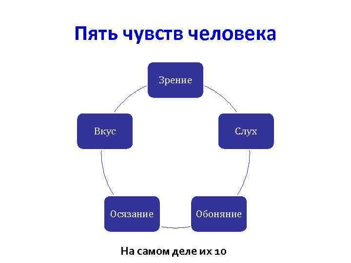 Пять чувств человека Зрение Вкус Слух Осязание Обоняние На самом деле их 10 