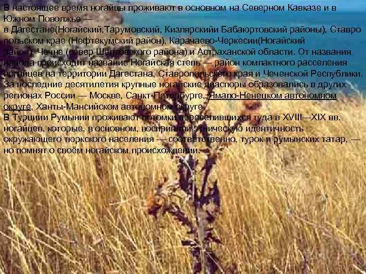 В настоящее время ногайцы проживают в основном на Северном Кавказе и в Южном Поволжье