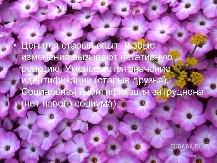  • Ценится старый опыт. Любые изменения вызывают негативную реакцию. Уменьшается значение идентификации (старые
