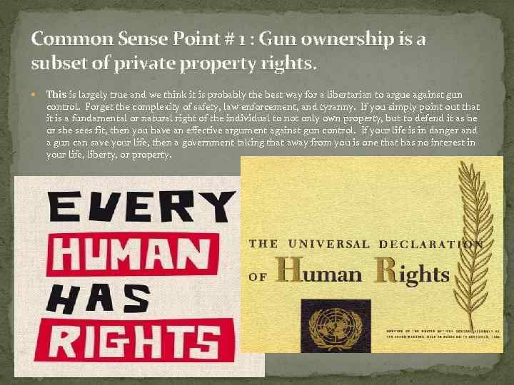 Common Sense Point # 1 : Gun ownership is a subset of private property
