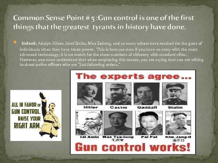 Common Sense Point # 5 : Gun control is one of the first things